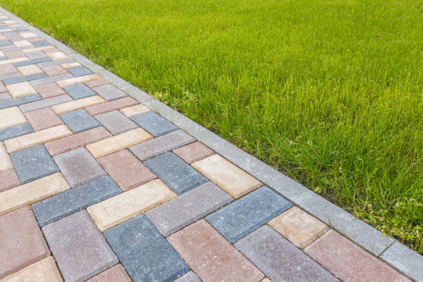 Best Custom Driveway Pavers  in Chalco, NE